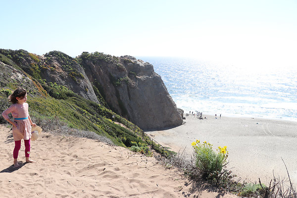 PointDume SP N - 59 of 81