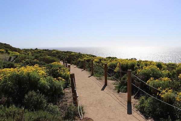 PointDume SP N - 37 of 81