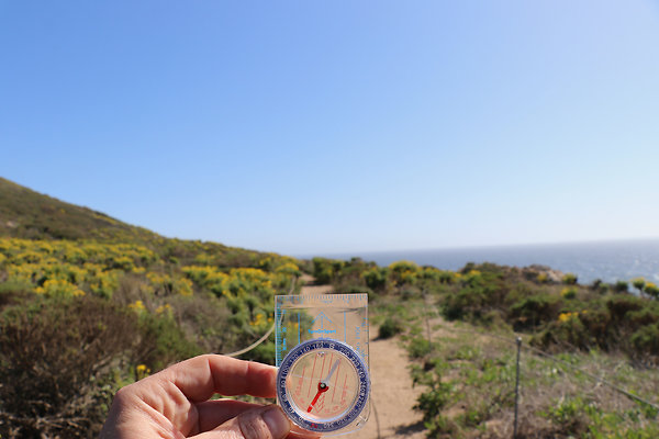 PointDume SP N - 2 of 81