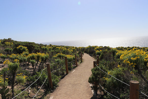PointDume SP N - 42 of 81