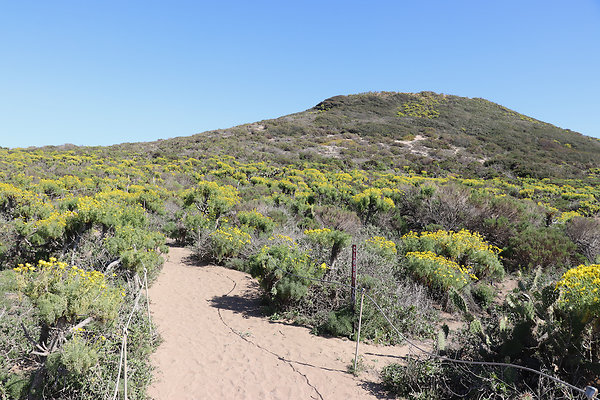 PointDume SP N - 16 of 81