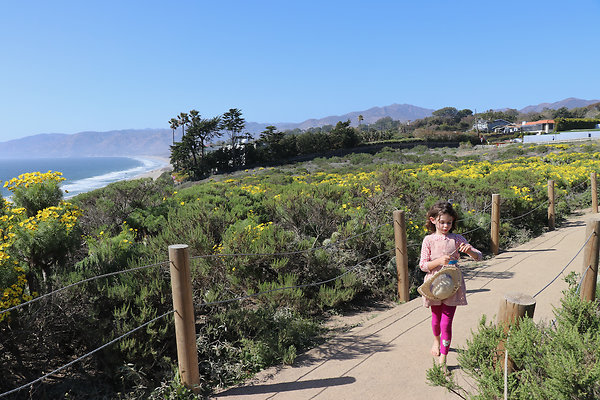 PointDume SP N - 40 of 81