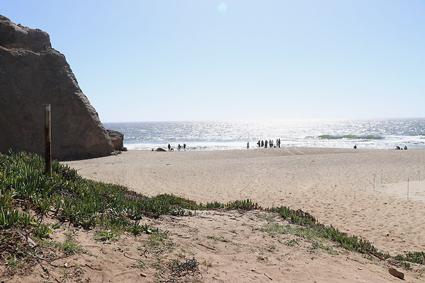 PointDume SP N - 51 of 81