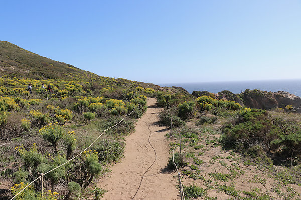 PointDume SP N - 3 of 81