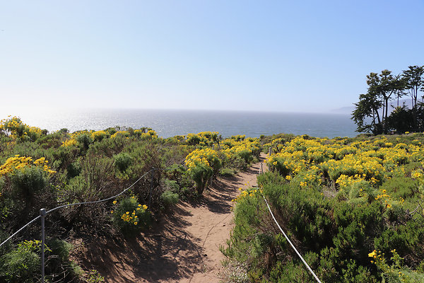 PointDume SP N - 26 of 81
