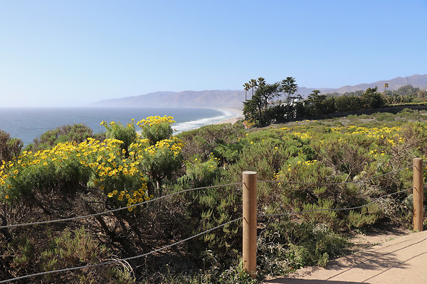 PointDume SP N - 41 of 81