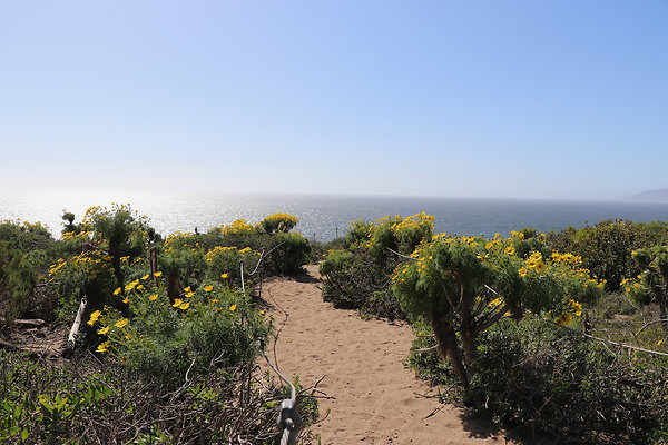 PointDume SP N - 23 of 81