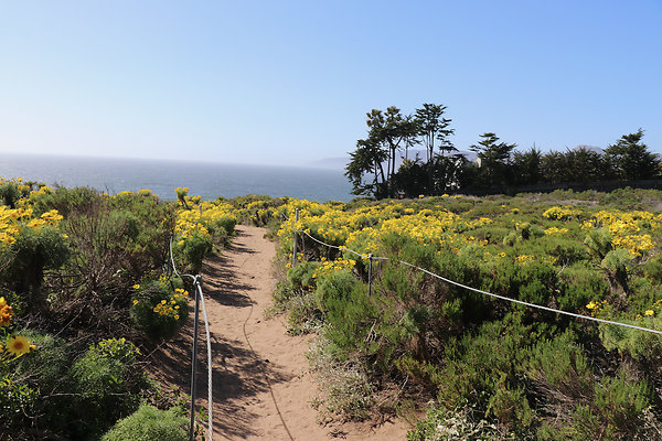 PointDume SP N - 27 of 81