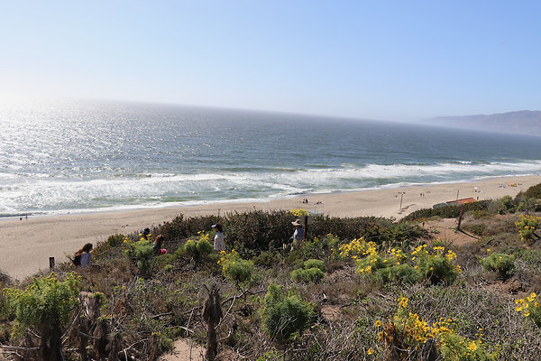 PointDume SP N - 14 of 81
