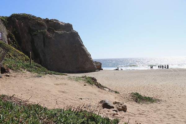 PointDume SP N - 49 of 81