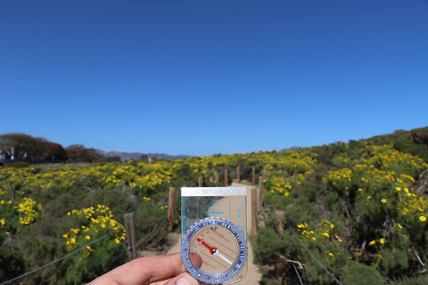 PointDume SP N - 33 of 81