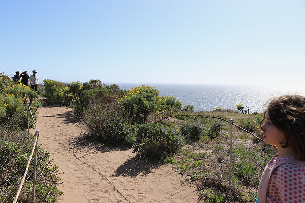 PointDume SP N - 7 of 81
