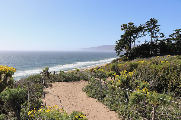PointDume SP N - 10 of 81