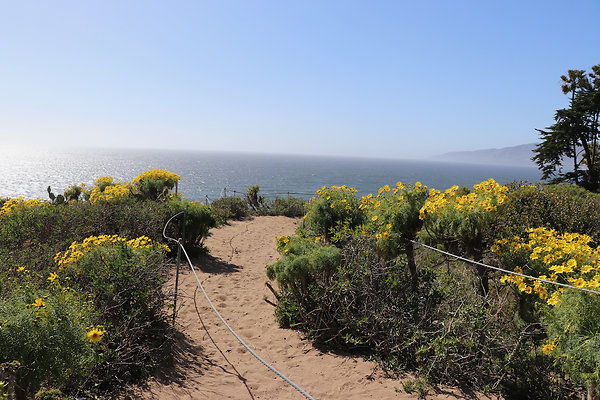PointDume SP N - 25 of 81