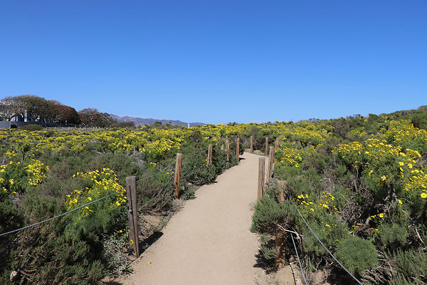 PointDume SP N - 32 of 81