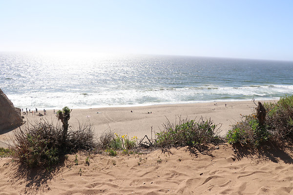 PointDume SP N - 57 of 81