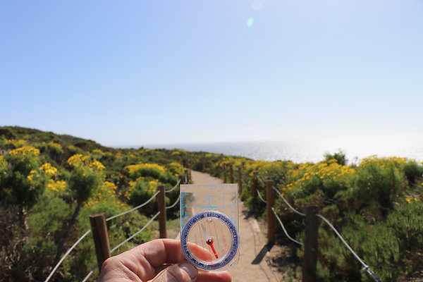 PointDume SP N - 34 of 81