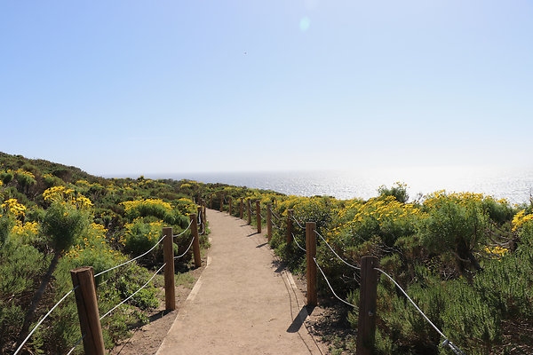 PointDume SP N - 31 of 81