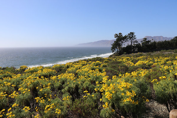 PointDume SP N - 39 of 81