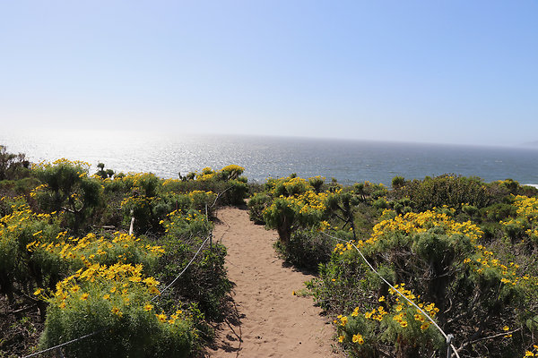 PointDume SP N - 20 of 81