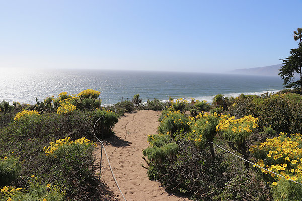 PointDume SP N - 24 of 81