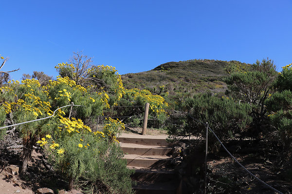 PointDume SP N - 29 of 81