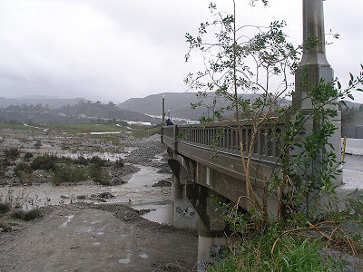 P1261884