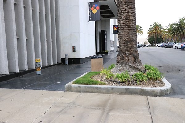 IMG 0163