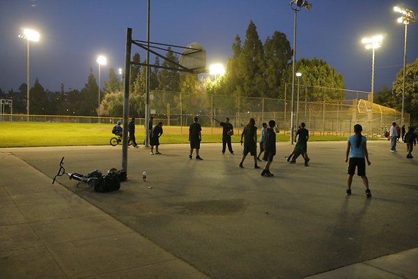 6 Belvedere BBall