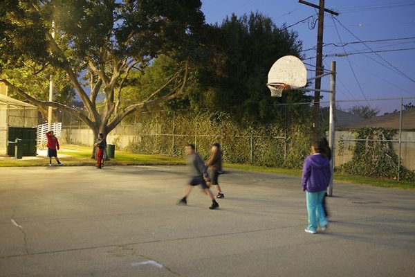 Belvedere BBall - 21
