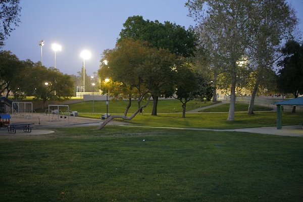 Belvedere plgrnd field - 43