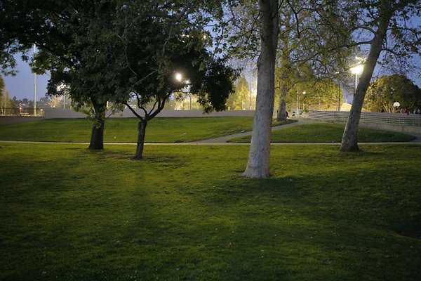 Belvedere plgrnd field - 45