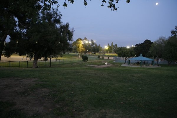Belvedere plgrnd field - 05