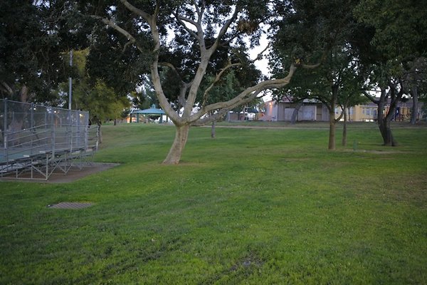 Belvedere plgrnd field - 11