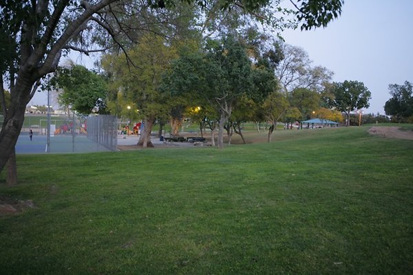 Belvedere plgrnd field - 08