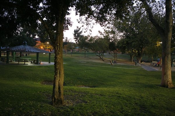 Belvedere plgrnd field - 47