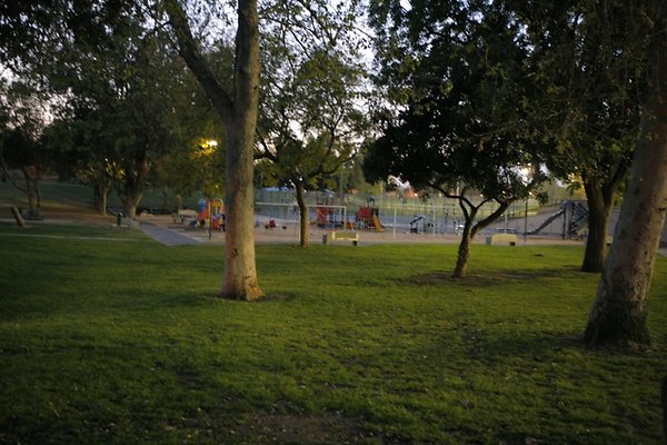 Belvedere plgrnd field - 46