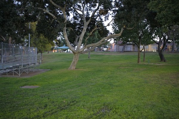 Belvedere plgrnd field - 12