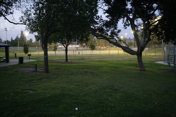 Belvedere plgrnd field - 09