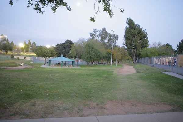 6 Belvedere plgrnd field