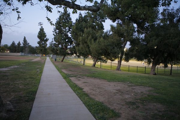 Belvedere plgrnd field - 06