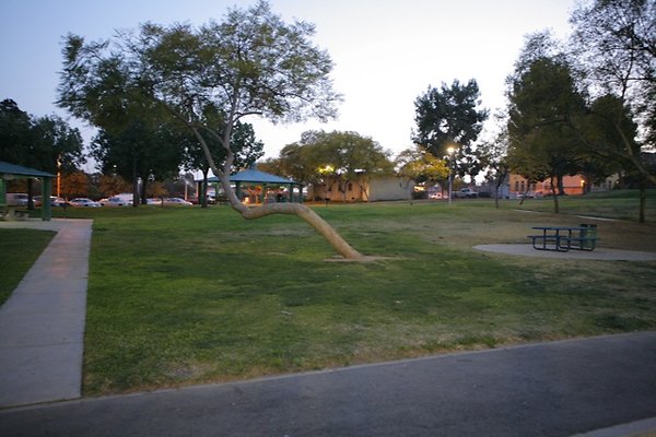 Belvedere plgrnd field - 39