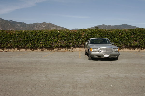  MG 5768