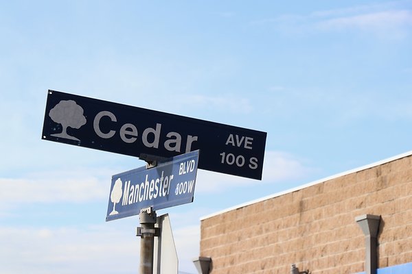 Cedar Manchester - 13 of 13