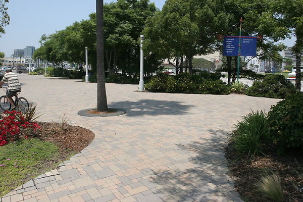 LB PedBridge - 75
