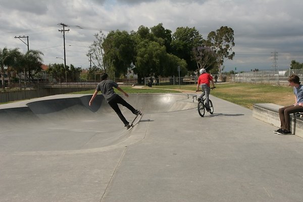 IMG 1429