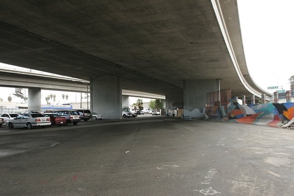 IMG 1181