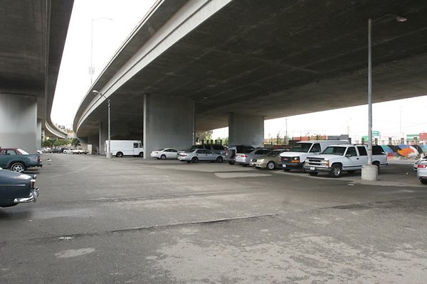 IMG 1296