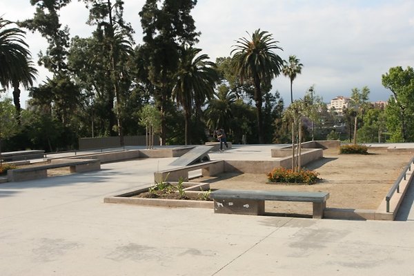 IMG 1699