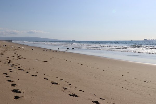 Dockweiler Lot2 53 - 25 of 54